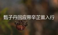 甄子丹回应带辛芷蕾入行：终究是靠她自己
