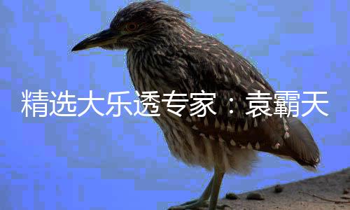 精选大乐透专家:袁霸天、苏香同中一等揽1127万