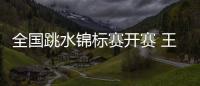 全国跳水锦标赛开赛 王宗源、陈芋汐夺金