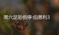 周六足彩伤停:伯恩利3大主力停赛 门兴沃尔夫伤病多