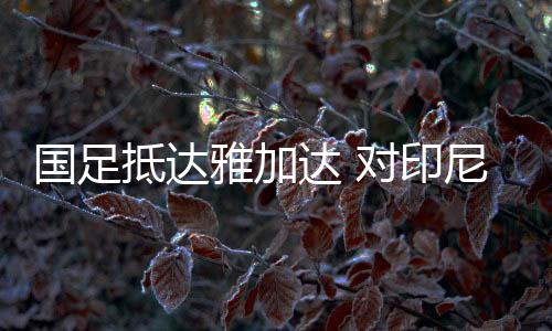 国足抵达雅加达 对印尼生死战23人名单并无秘密