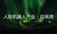 人形机器人产业：迎来跨越发展 赋能千行百业