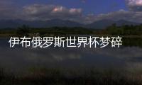 伊布俄罗斯世界杯梦碎 瑞典主帅已决定不带他