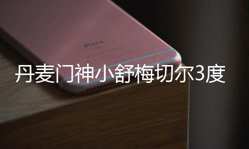 丹麦门神小舒梅切尔3度扑出点球虽败犹荣