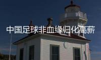 中国足球非血缘归化高薪低能 亟待系统性反思