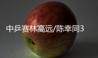 中乒赛林高远/陈幸同3