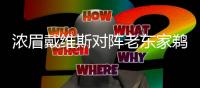 浓眉戴维斯对阵老东家鹈鹕 出场同时响起嘘声和掌声