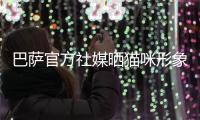 巴萨官方社媒晒猫咪形象新吉祥物
