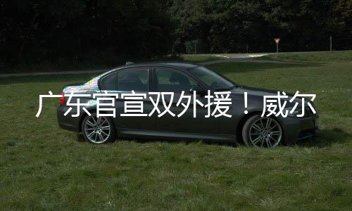 广东官宣双外援！威尔