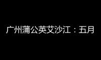 广州蒲公英艾沙江：五月底痊愈 已做好准备复出