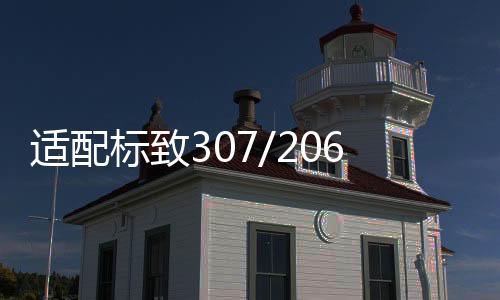 适配标致307/206/408/雪铁龙C4L世嘉原装电瓶骆驼60AH汽车蓄电池