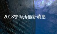 2018宁泽涛最新消息 游泳全锦赛宁泽涛伤退已确诊为手指关节韧带撕裂